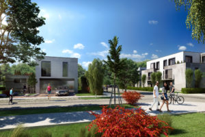 FOTO 5_zalesie